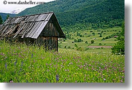 bohinj, europe, horizontal, old, scenics, shack, shed, slovenia, wildflowers, photograph