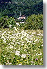 bohinj, churches, europe, scenics, slovenia, vertical, wildflowers, photograph