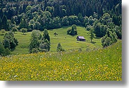 bohinj, europe, horizontal, scenics, shed, slovenia, wildflowers, photograph
