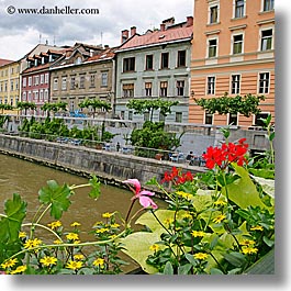 buildings, cities, europe, flowers, ljubljana, river bank, rivers, slovenia, square format, photograph