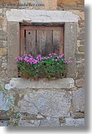 europe, flowers, miscellaneous, pink, slovenia, vertical, windows, woods, photograph