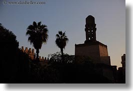 africa, cairo, egypt, horizontal, mosques, old town, palms, trees, photograph