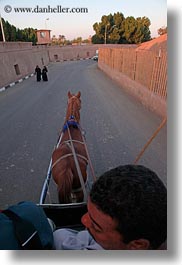 africa, downview, drivers, edfu, egypt, horses, vertical, photograph