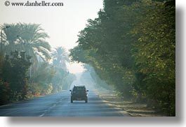 africa, cars, egypt, foggy, horizontal, luxor, roads, scenics, photograph