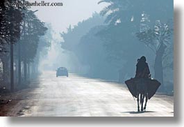africa, egypt, foggy, horizontal, luxor, mules, roads, scenics, walking, photograph