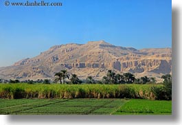 africa, egypt, farm, horizontal, luxor, mountains, scenics, photograph