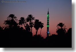 africa, dusk, egypt, horizontal, mosques, palm trees, photograph