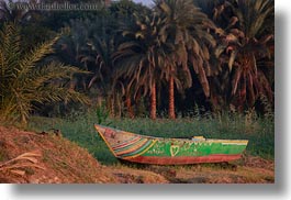 africa, boats, egypt, horizontal, palm trees, rivers, photograph