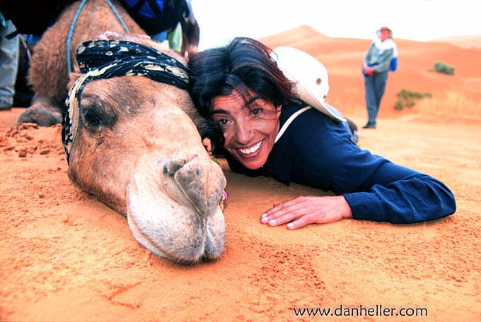 camel-cuddle-big.jpg