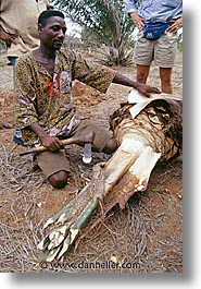 africa, chopping, togo, tribes, vertical, west africa, photograph