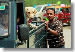 animals, asia, asian, bhutan, dogs, horizontal, people, trucks, photograph