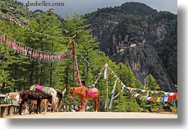 animals, asia, asian, bhutan, buddhist, flags, horizontal, horses, prayer flags, prayers, religious, style, photograph