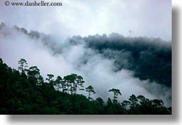 asia, bhutan, fog, fog clouds, horizontal, landscapes, trees, photograph