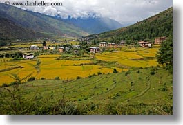 asia, bhutan, colors, fields, green, horizontal, landscapes, lush, nature, rice, rice fields, valley, photograph