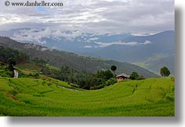 asia, bhutan, colors, fields, green, horizontal, landscapes, lush, mountains, nature, rice, rice fields, photograph