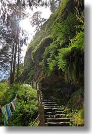asia, bhutan, hikers, people, photographers, stairs, structures, vertical, photograph