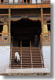 asia, asian, bhutan, buddhist, clothes, men, people, punakha dzong, religious, robes, stairs, temples, vertical, walking, photograph