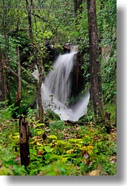 asia, bhutan, forests, lush, nature, plants, trees, vertical, water, waterfalls, photograph
