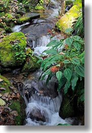 asia, bhutan, leaves, lush, nature, vertical, water, waterfalls, photograph