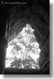 angkor wat, asia, black and white, cambodia, east entrance, holes, trees, vertical, photograph