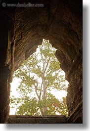angkor wat, asia, cambodia, east entrance, holes, trees, vertical, photograph