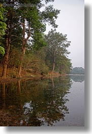 angkor wat, asia, cambodia, moat, trees, vertical, photograph