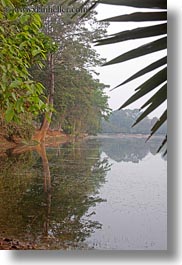 angkor wat, asia, cambodia, moat, trees, vertical, photograph