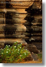 angkor wat, architectural ruins, asia, cambodia, flowers, plants, vertical, photograph
