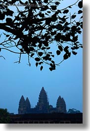 angkor wat, asia, cambodia, leaves, silhouettes, towers, vertical, photograph