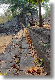 asia, beng mealea, cambodia, leaves, stairs, temples, vertical, photograph