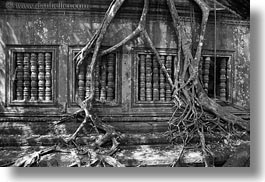 asia, beng mealea, cambodia, growing, horizontal, trees, windows, photograph