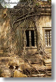 asia, beng mealea, cambodia, growing, trees, vertical, windows, photograph