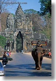 asia, cambodia, elephants, gates, men, riding, south gate, vertical, photograph
