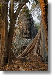 asia, cambodia, faces, gates, trees, vertical, victory, victory gate, photograph