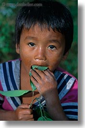 asia, boys, cambodia, eating, leaves, people, vertical, photograph