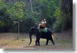 asia, cambodia, elephant ride, elephants, horizontal, people, riding, tourists, photograph
