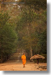 asia, cambodia, down, lined, men, monks, paths, people, trees, vertical, walking, photograph