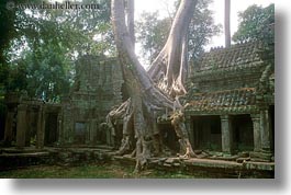 asia, cambodia, growing, horizontal, preah khan, trees, walls, photograph