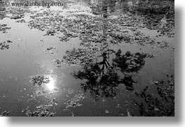 asia, black and white, cambodia, horizontal, landscapes, reflections, scenics, trees, water, photograph