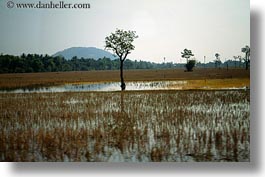 asia, cambodia, horizontal, landscapes, reflections, scenics, trees, water, photograph