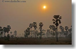 asia, cambodia, hazy, horizontal, scenics, sunrise, sunsets, trees, photograph