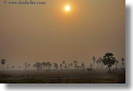 asia, cambodia, hazy, horizontal, scenics, sunrise, sunsets, trees, photograph