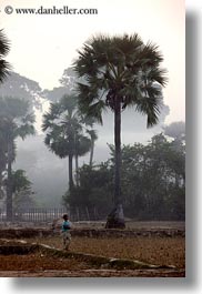 asia, cambodia, childrens, hazy, palm trees, scenics, trees, vertical, photograph