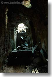 asia, cambodia, ta promh, tunnel, vertical, photograph