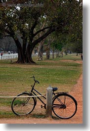 asia, bicycles, cambodia, transportation, trees, vertical, photograph