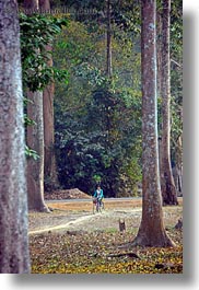 among, asia, bicycles, cambodia, girls, transportation, trees, vertical, photograph