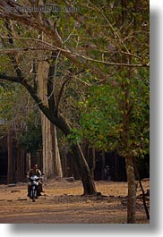 asia, cambodia, motorcycles, transportation, trees, vertical, photograph