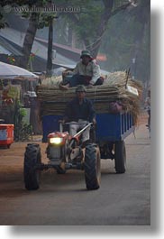 asia, bamboo, cambodia, carrying, tractor, transportation, vertical, photograph