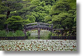 asia, bridge, horizontal, japan, kyoto, pond, ryoanji temple, photograph