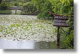 asia, horizontal, japan, kyoto, pond, ryoanji temple, photograph